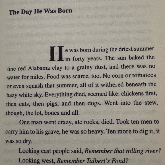 📖 Vintage Stunning Big Fish 2003 Trade Paper Back Book by Daniel Wallace 📚 - Picture 14 of 14